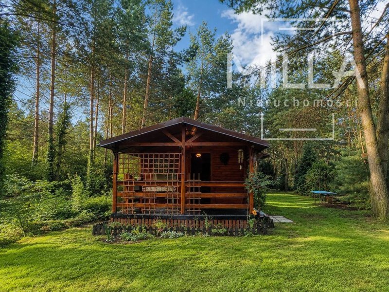 Leśne siedlisko z domkiem | 2361m2 | Gmina Zgierz, zdjęcie 1